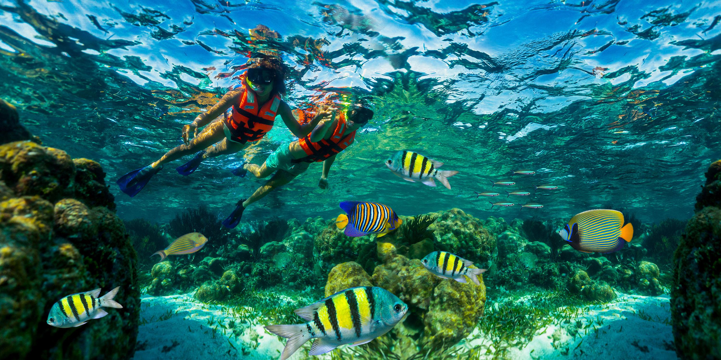 Cancún: Puerto Morelos Reef Snorkeling Tour & Seaside Lunch – Cancun, Mexico