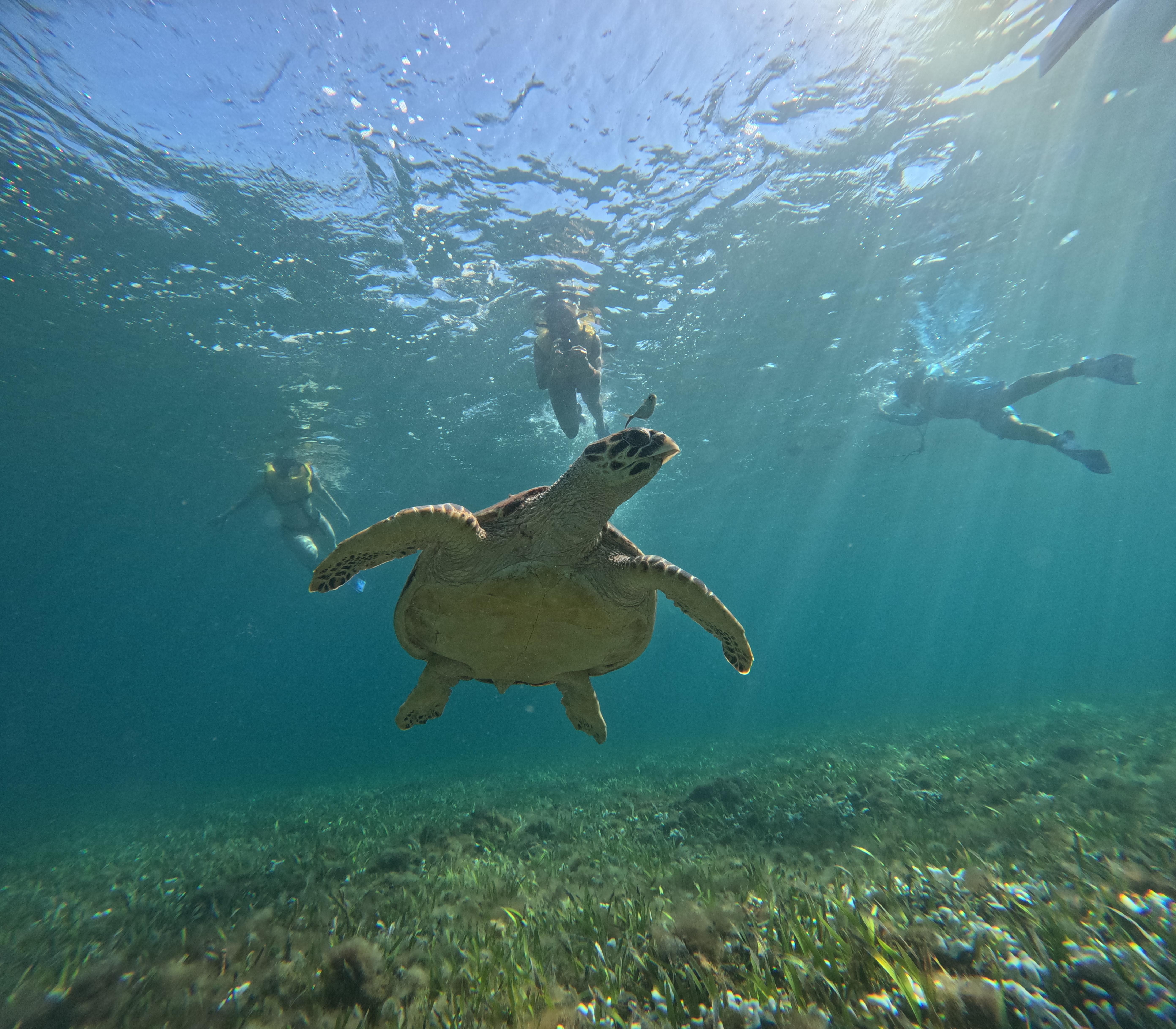 Cancun: Snorkeling Boat Tour with Gear – Cancun, Mexico