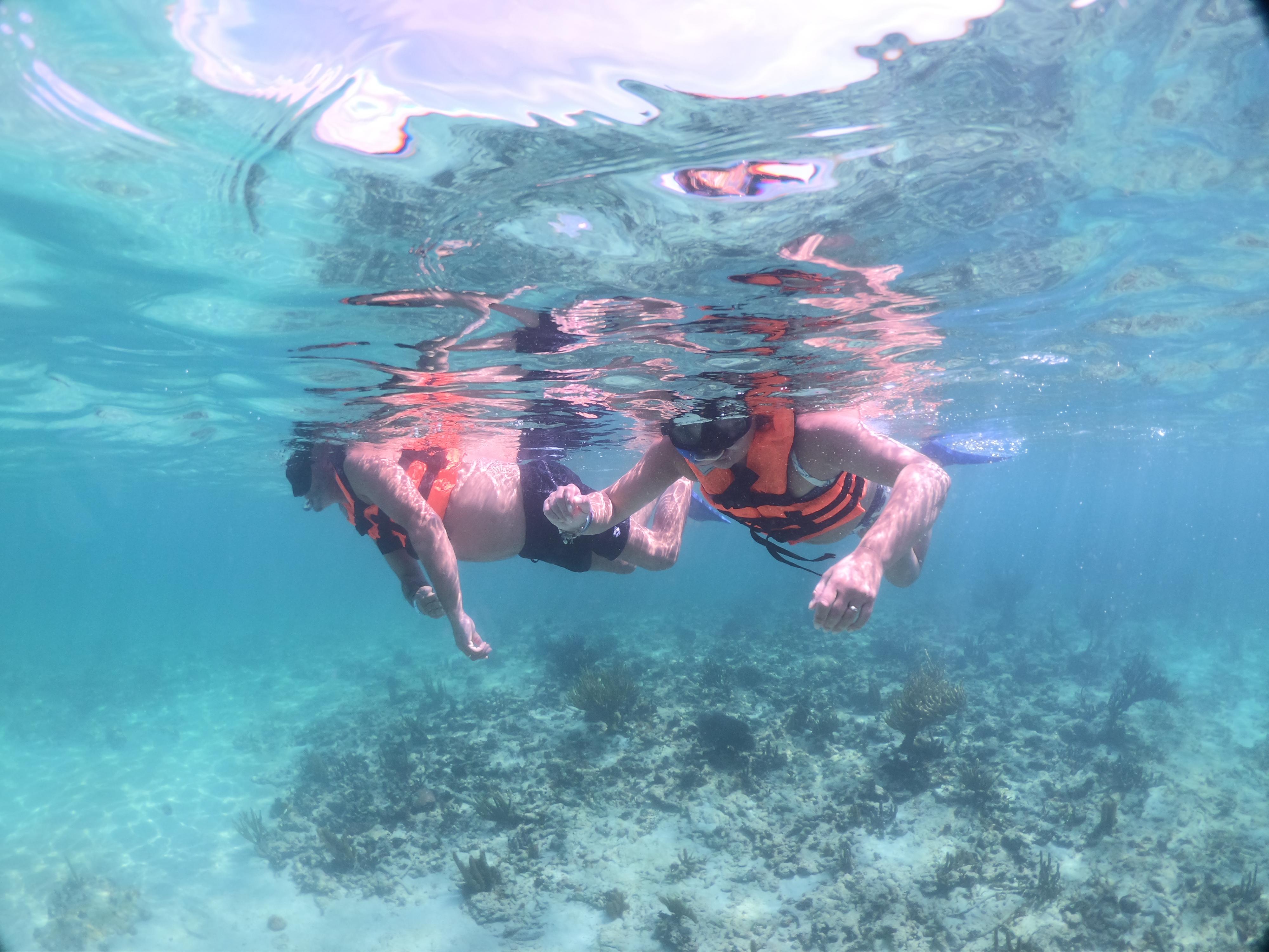 Cancun : discover Akumal. Snorkeling, Sea Turtles & Cenote – Tulum, Mexico