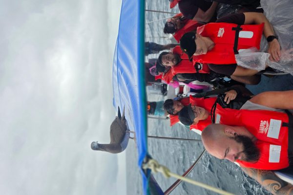 Caño Island Snorkeling in Uvita – Sierpe River, Costa Rica