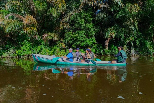Canoe, night and day hike in Tortuguero National Park – Tortuguero National Park, Costa Rica