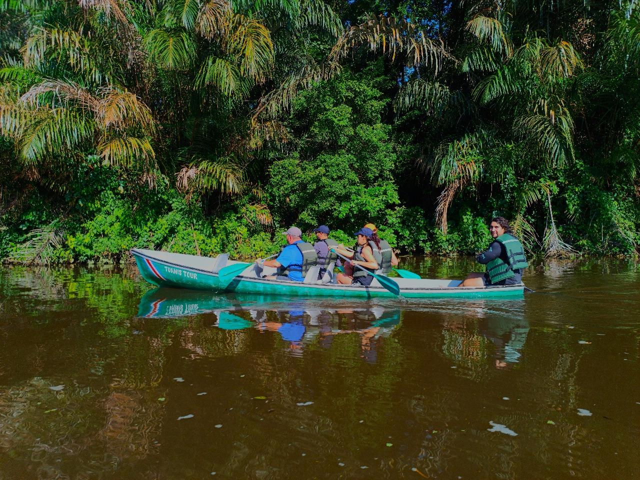 Canoe, night and day hike in Tortuguero National Park – Tortuguero National Park, Costa Rica