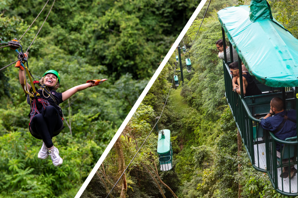 Canopy Zip line & Aerial Tram Tour Jacó – Jaco, Costa Rica
