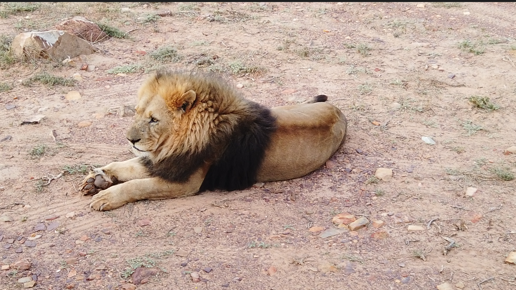 Cape Town – Aquila Safari – Cape Town, South Africa