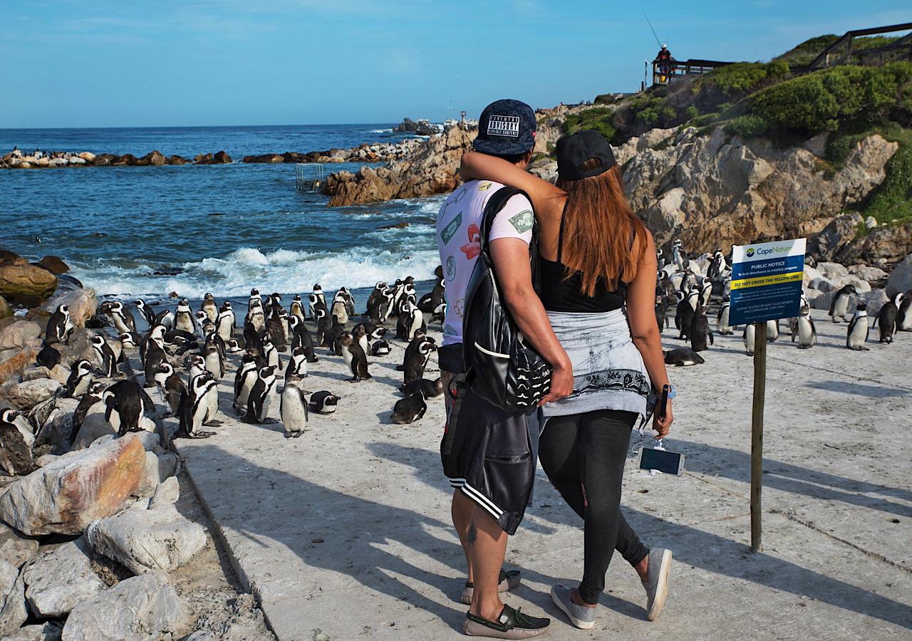 Cape Town: Cape Peninsula Private Tour – Cape Town, South Africa