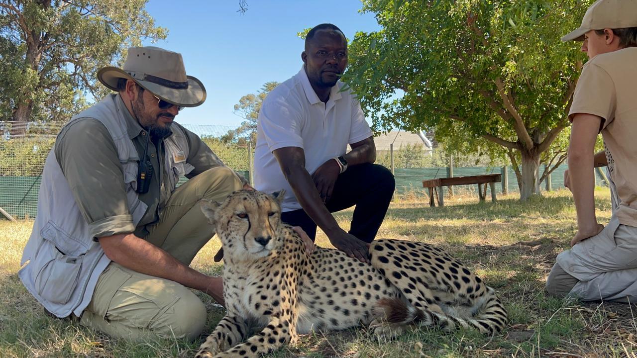 Cape Town: Cheetah Outreach, Giraffe Encounter & Wine Tour – Cape Town, South Africa