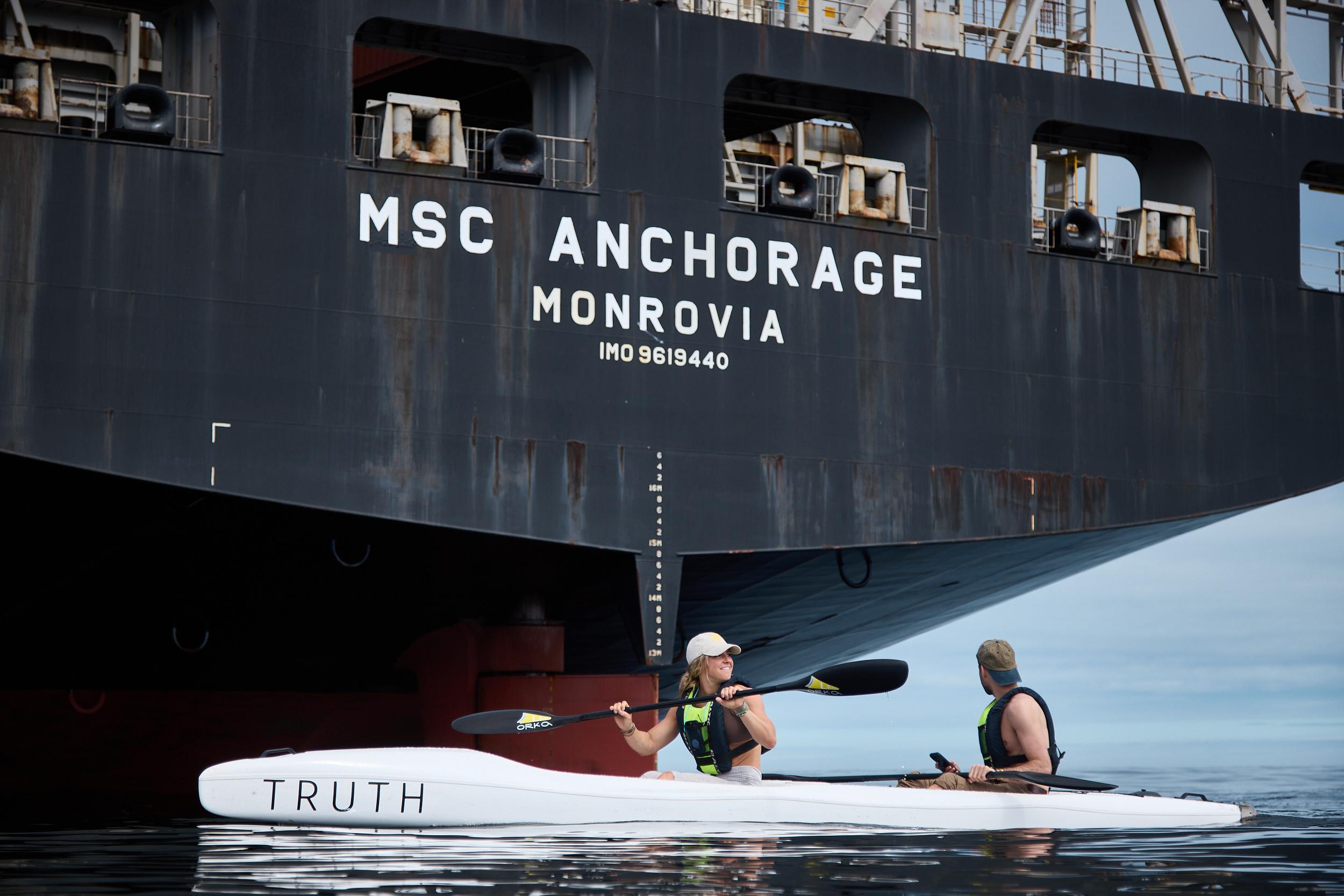 Cape Town: Dolphin & Ocean Wildlife Kayaking Adventure ⚓️ – Cape Town, South Africa