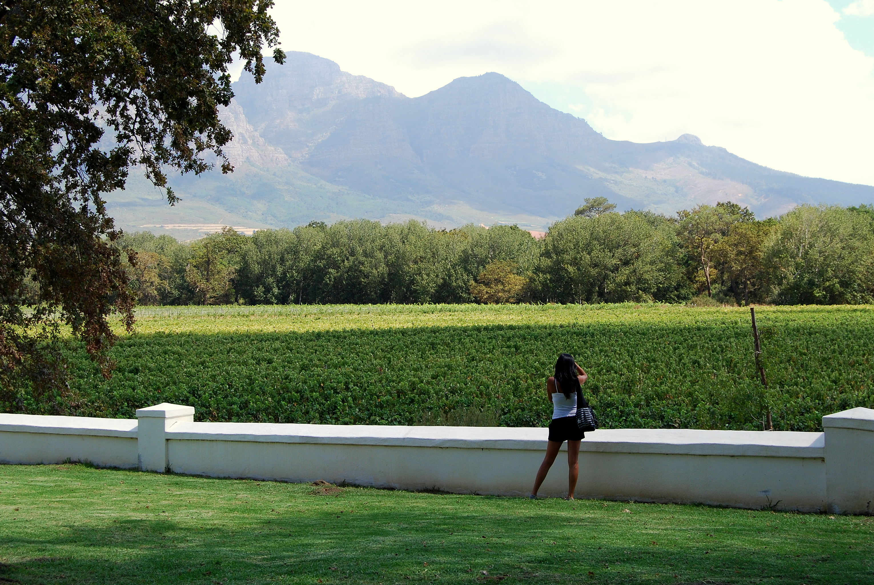 Cape Town: Full-Day Winelands Tour with Wine Tastings & Food – Cape Town, South Africa