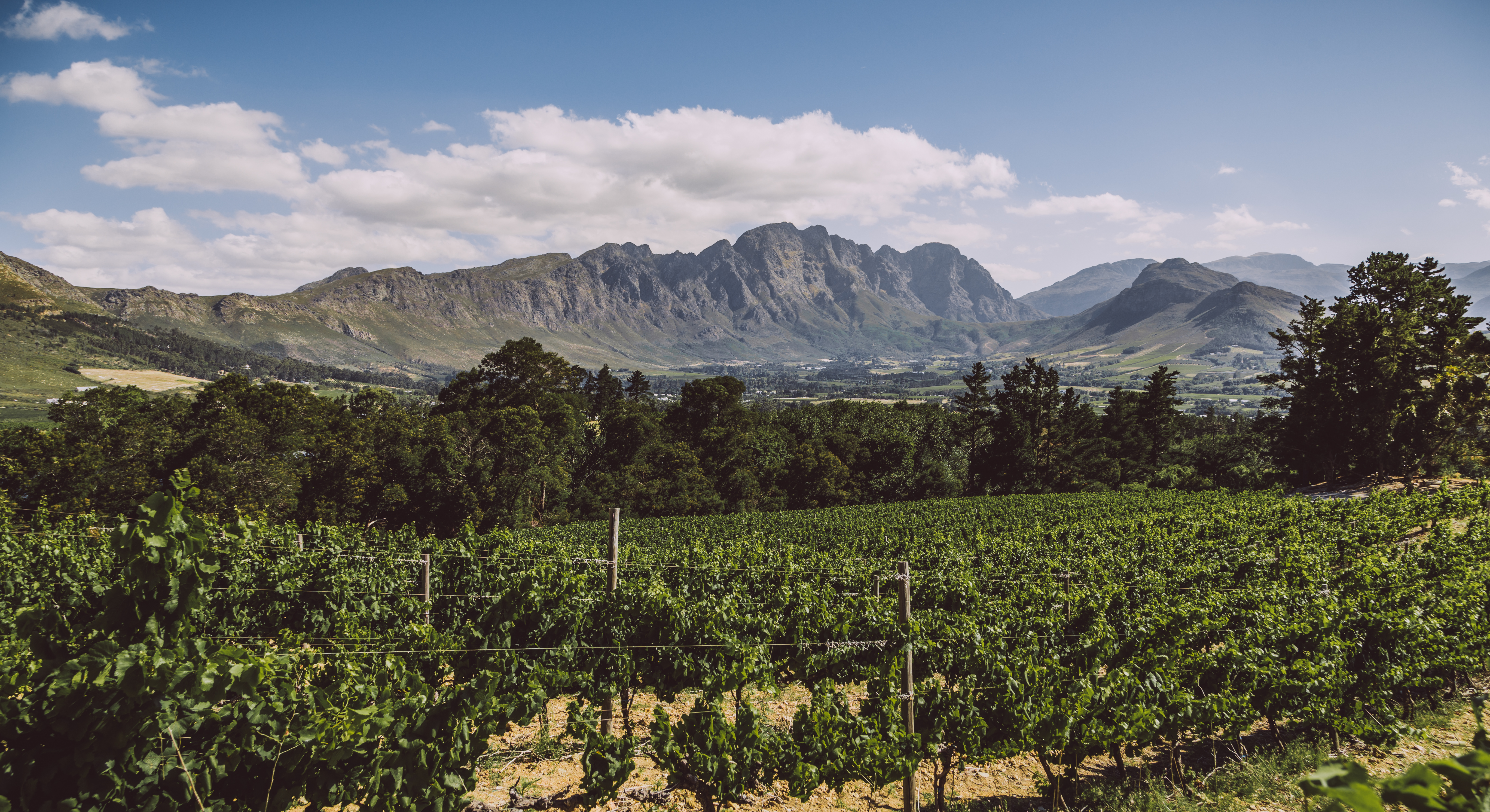 Cape Town: Guided Winelands Tour & Tasting in Stellenbosch – Cape Town, South Africa