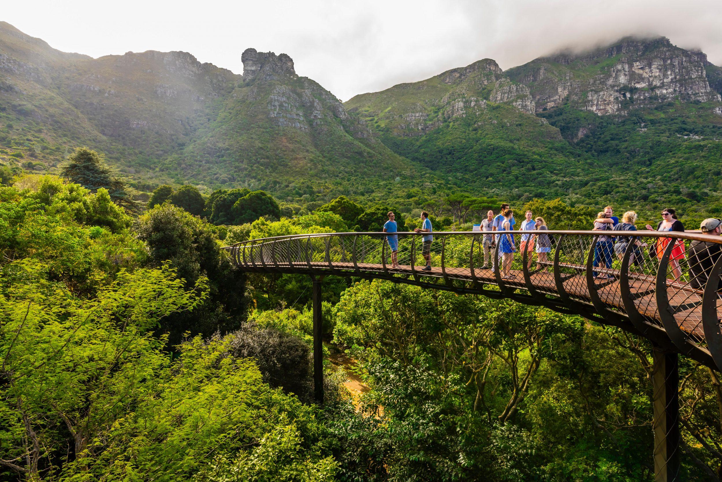 Cape Town: Kirstenbosch Botanical Garden Entry Ticket – Cape Town, South Africa