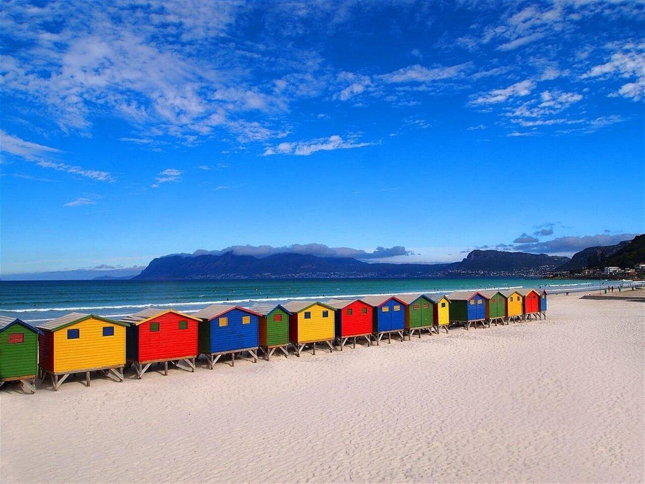 Cape Town: Penguins & Cape of Good Hope Half-Day Tour – Cape Town, South Africa
