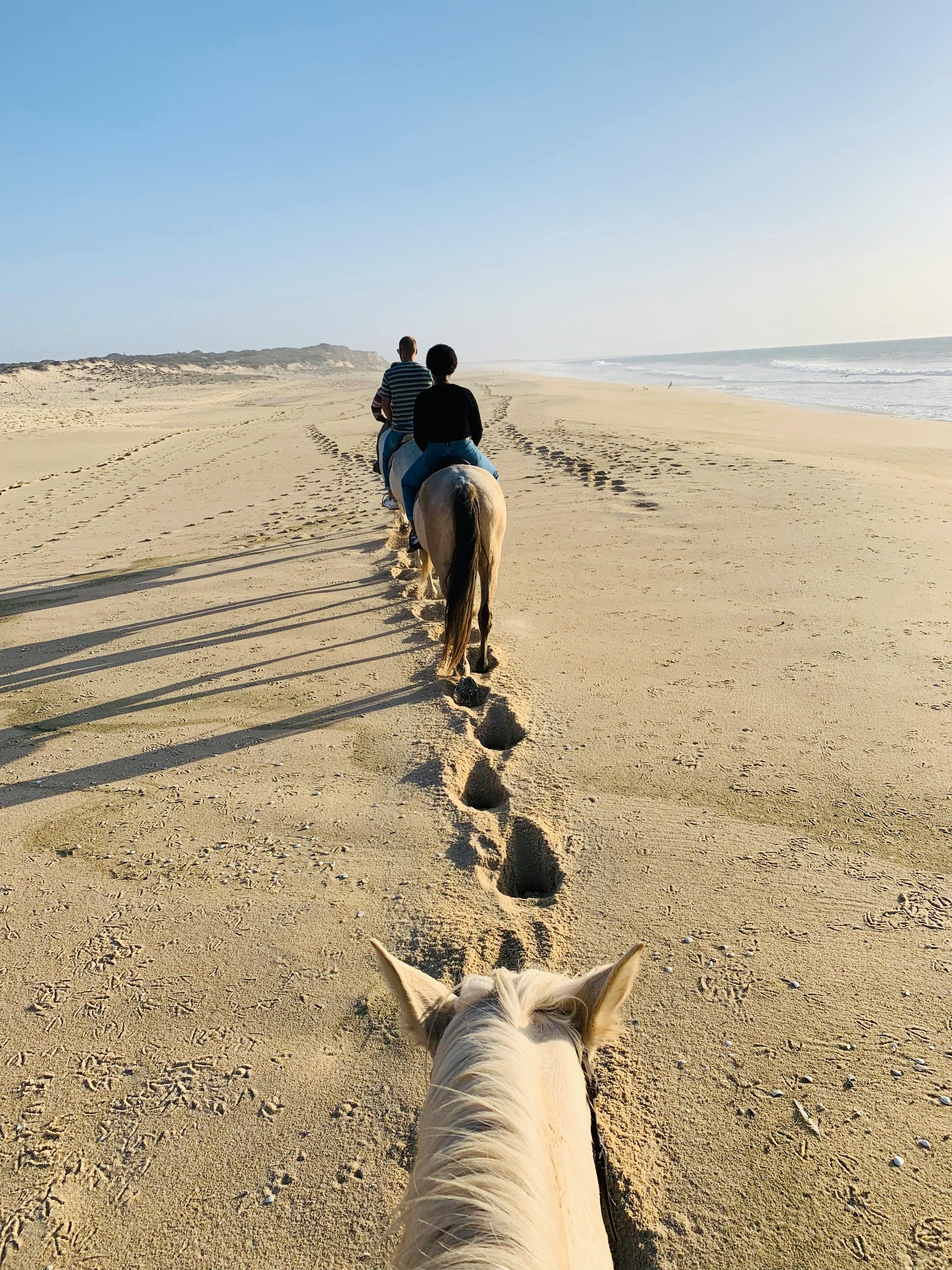 Cape Town: Private Beach Horse Ride and Wine Tour & Lunch – Cape Town, South Africa