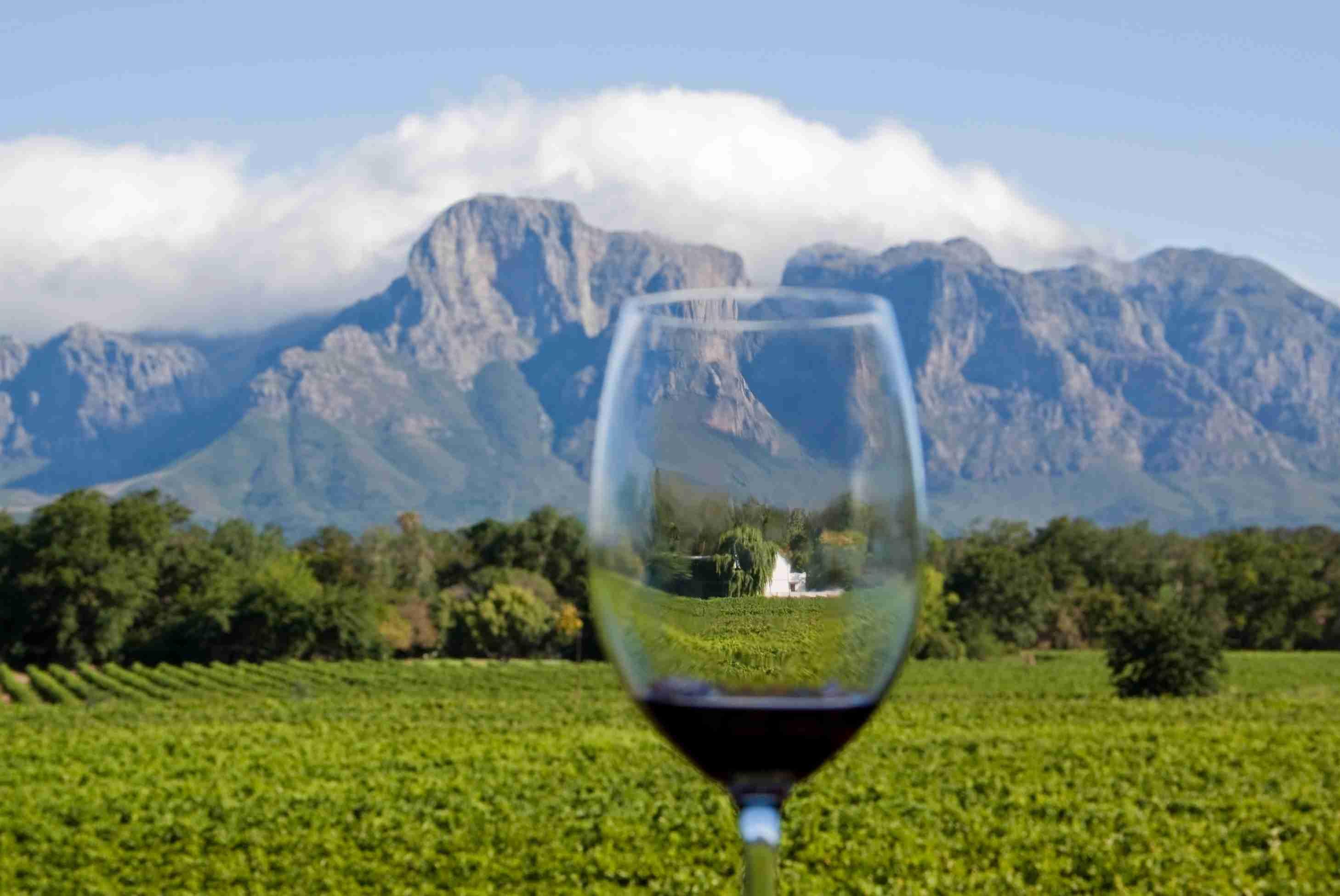 Cape Town: Private Tour of Cape Peninsula and Winelands – Cape Town, South Africa