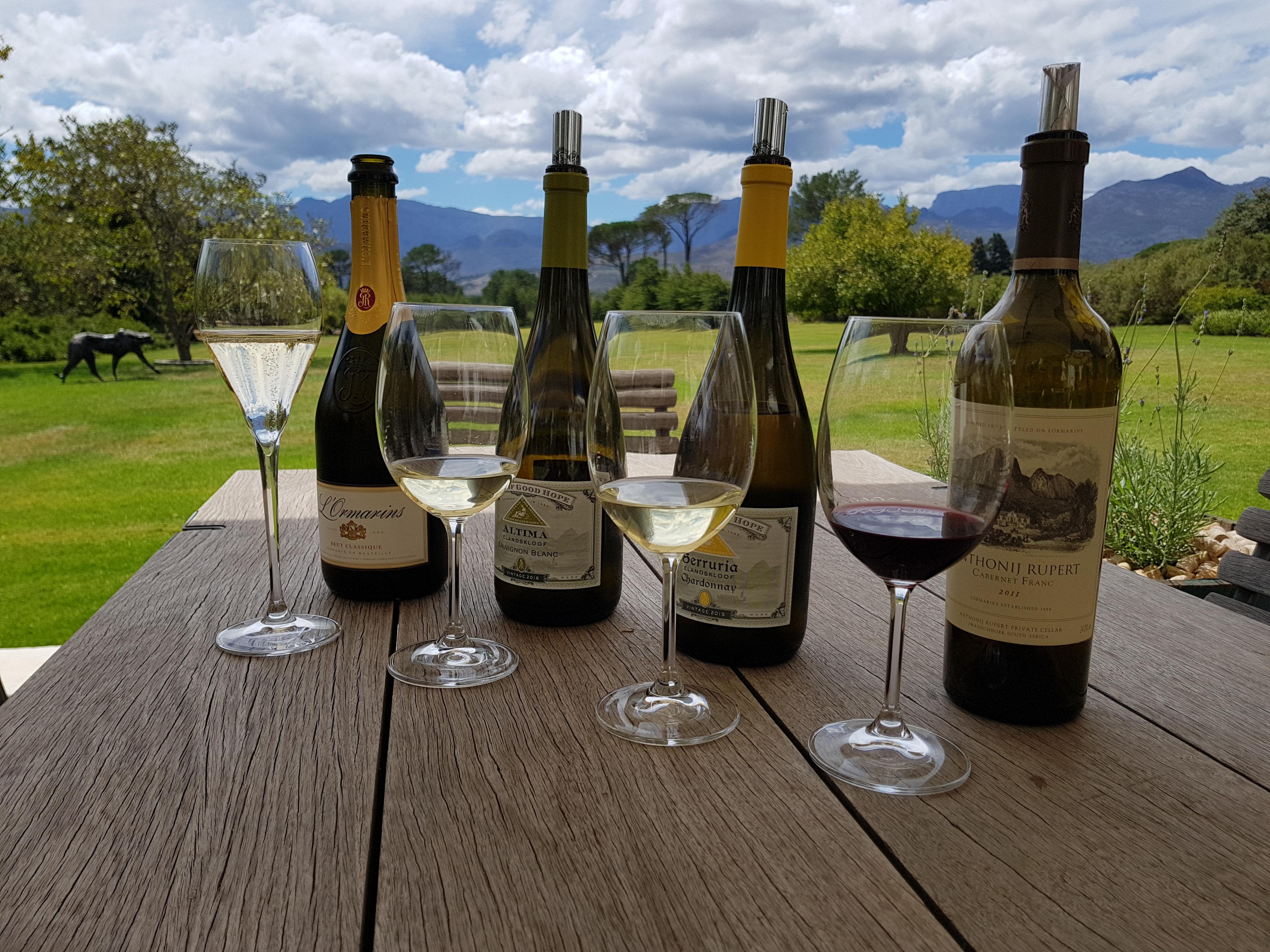 Cape Town: Private Wine Tour – Cape Town, South Africa