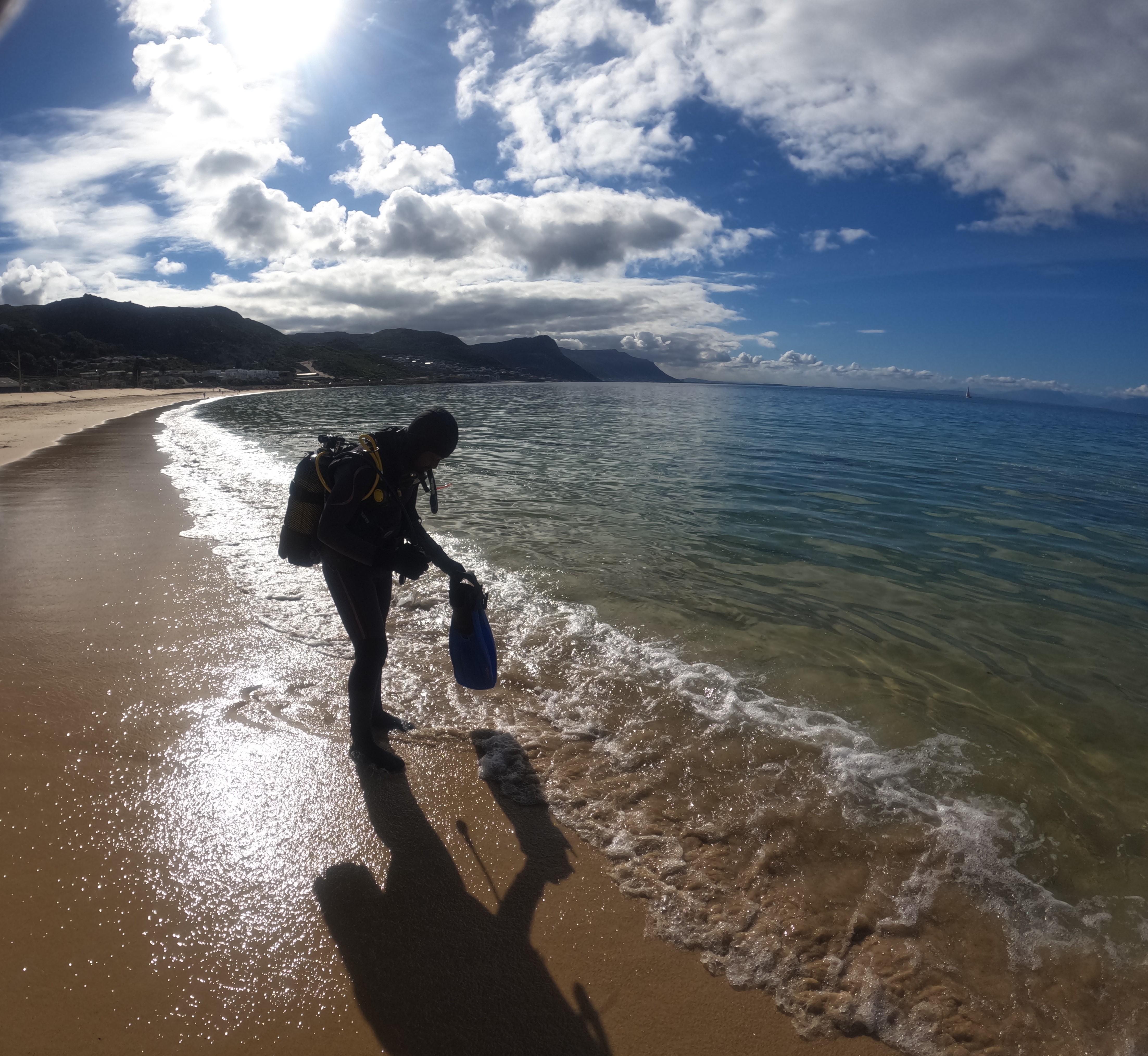 Cape Town: Scuba Diving Experience for Beginners – Cape Town, South Africa