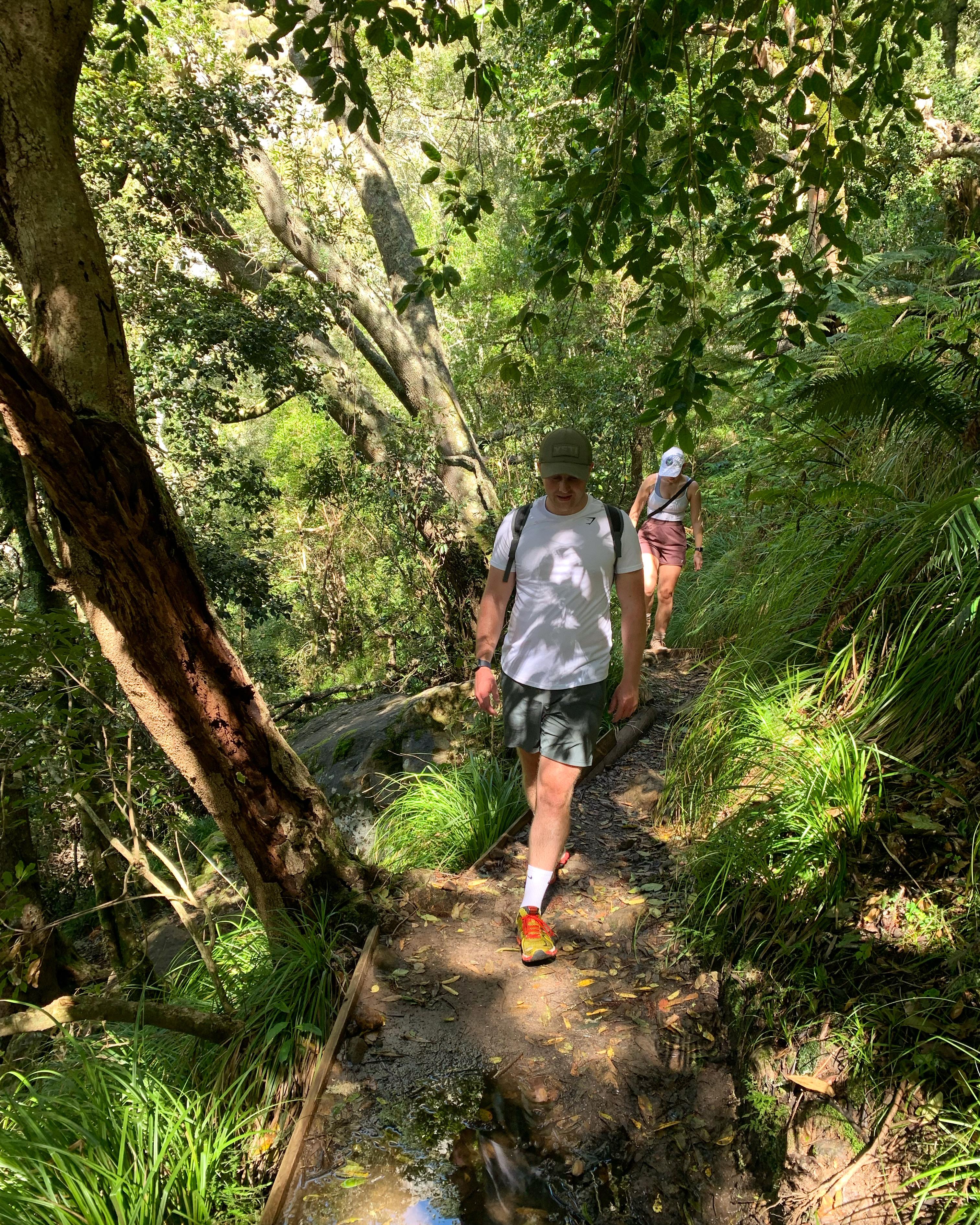 Cape Town: Skeleton Gorge and Kirstenbosch Gardens Hike – Cape Town, South Africa
