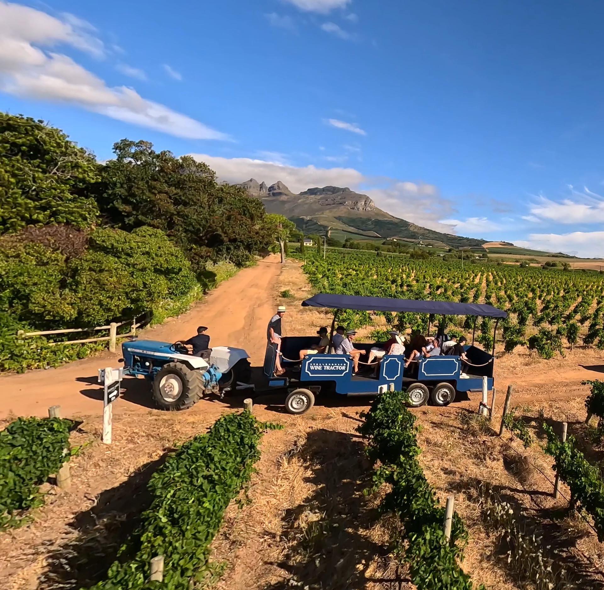 Cape Town: Stellenbosch Hop-On Hop-Off Tractor Transfer – Cape Town, South Africa