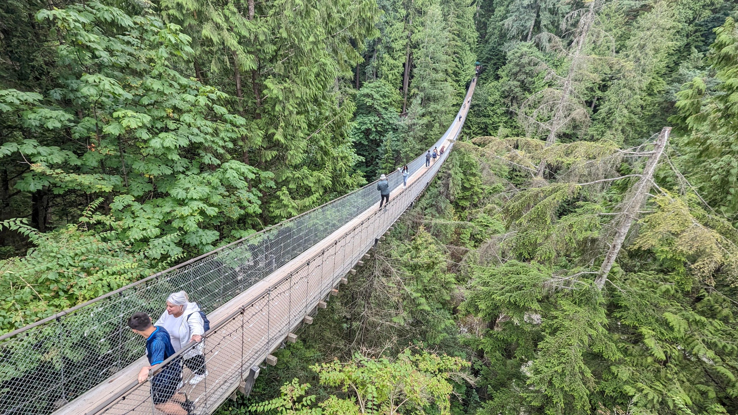 Capilano Suspension Bridge Canyon Lights & 4 Top highlights – Vancouver, Canada