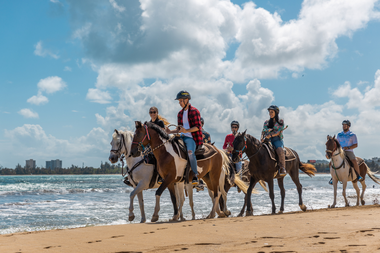 Carabalí Rainforest Park: Beach Horseback Riding – Luquillo, Puerto Rico