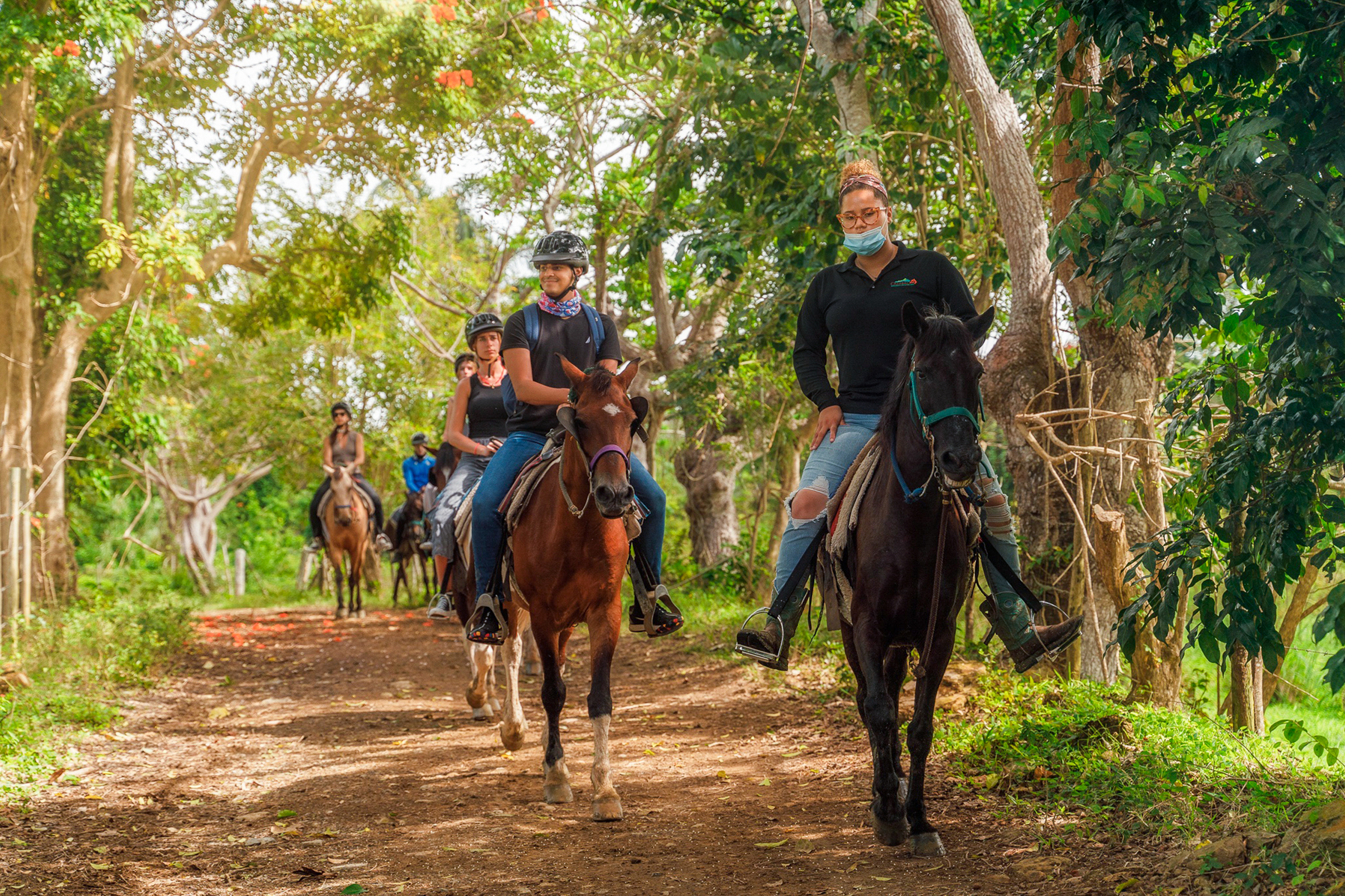 Carabalí Rainforest Park: Rainforest Horseback Riding Tour – Luquillo, Puerto Rico