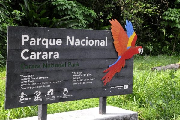 Carara National Park: Guided Walk Carara Costa Rica Nature – Tarcoles, Costa Rica