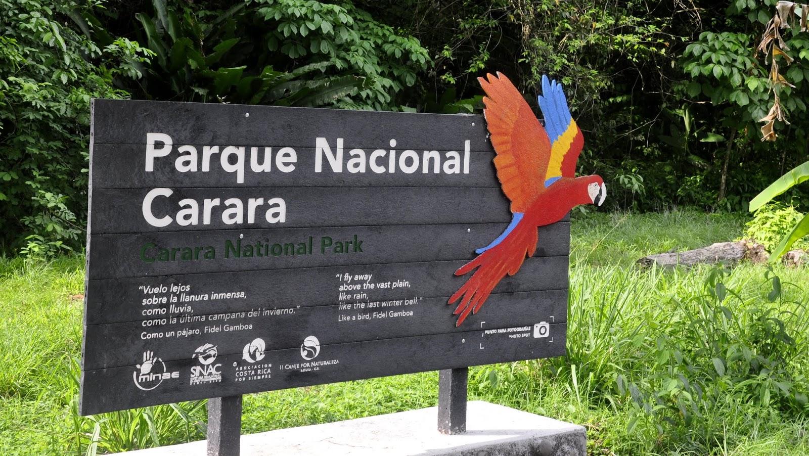 Carara National Park: Guided Walk Carara Costa Rica Nature – Tarcoles, Costa Rica