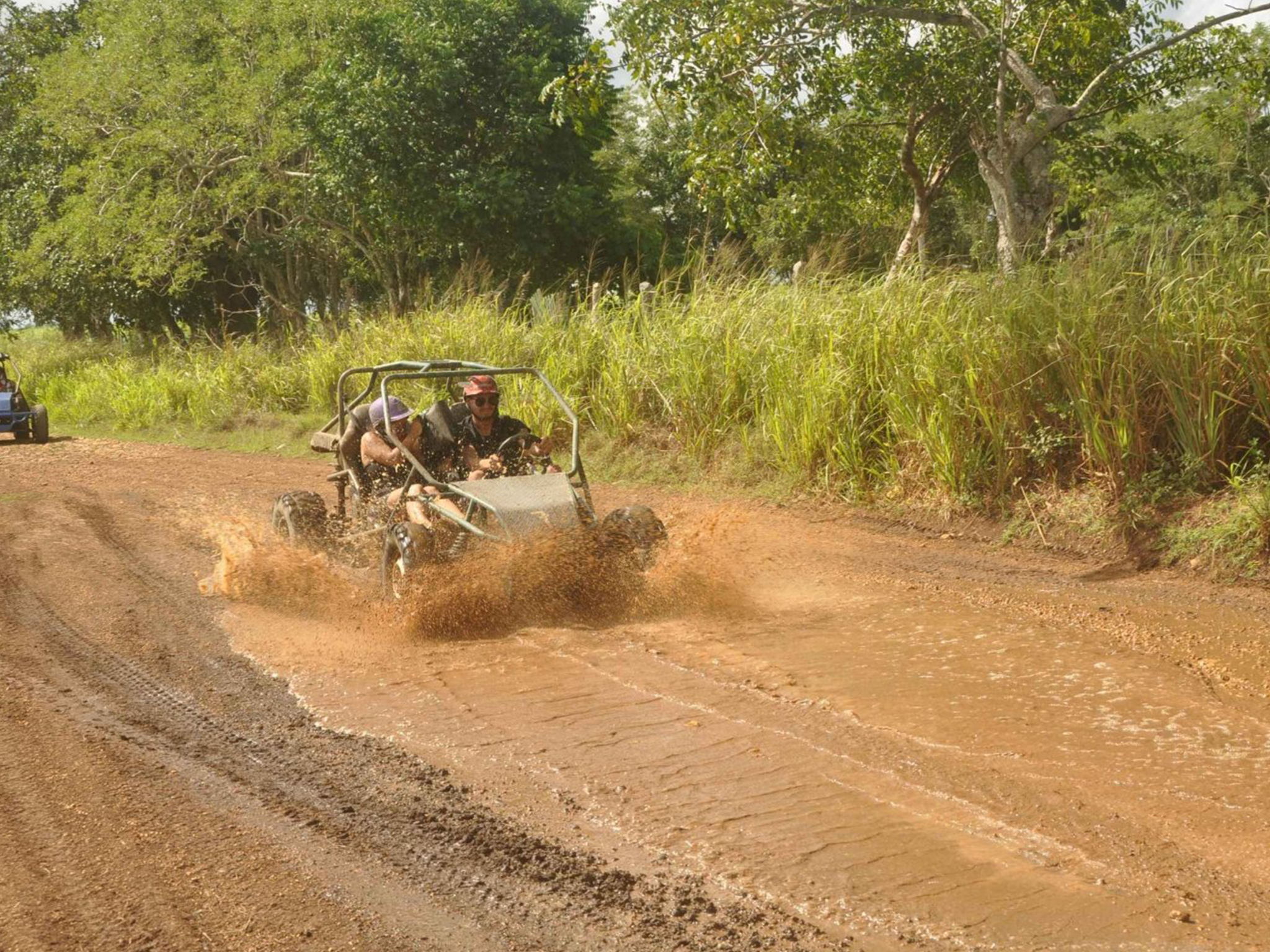 Caribbean Buggy Escape – Bayahibe Jungle & Safari – Higuey, Dominican Republic