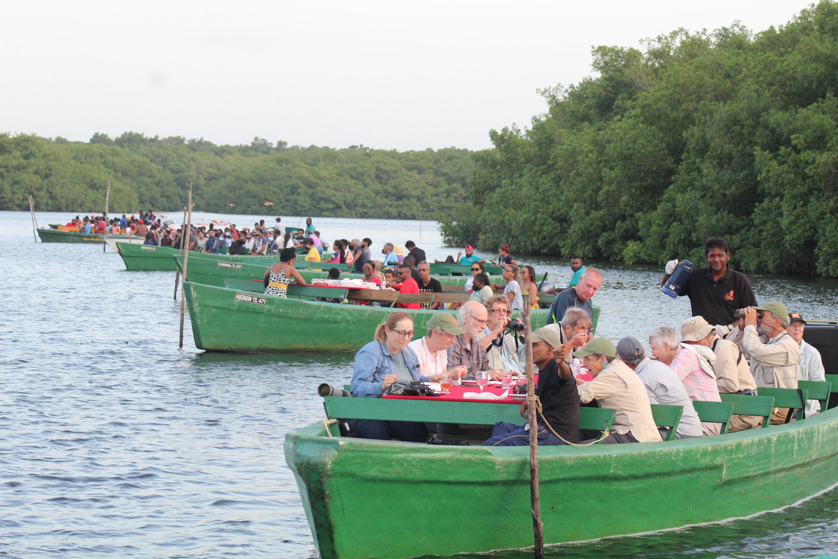 Caroni: Bird Sanctuary Wildlife Swamp Tour – Trinidad and Tobago