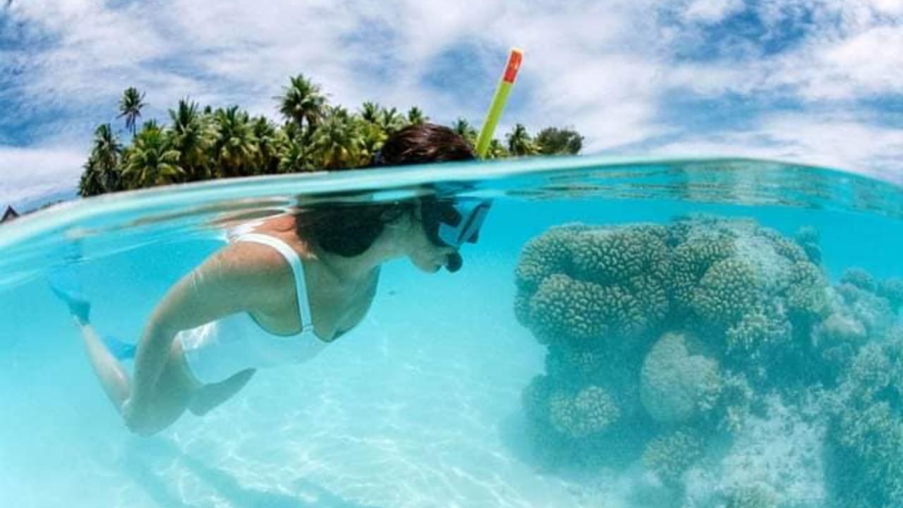 Catalina Island: Day Trip – Best Snorkeling! – La Romana, Dominican Republic