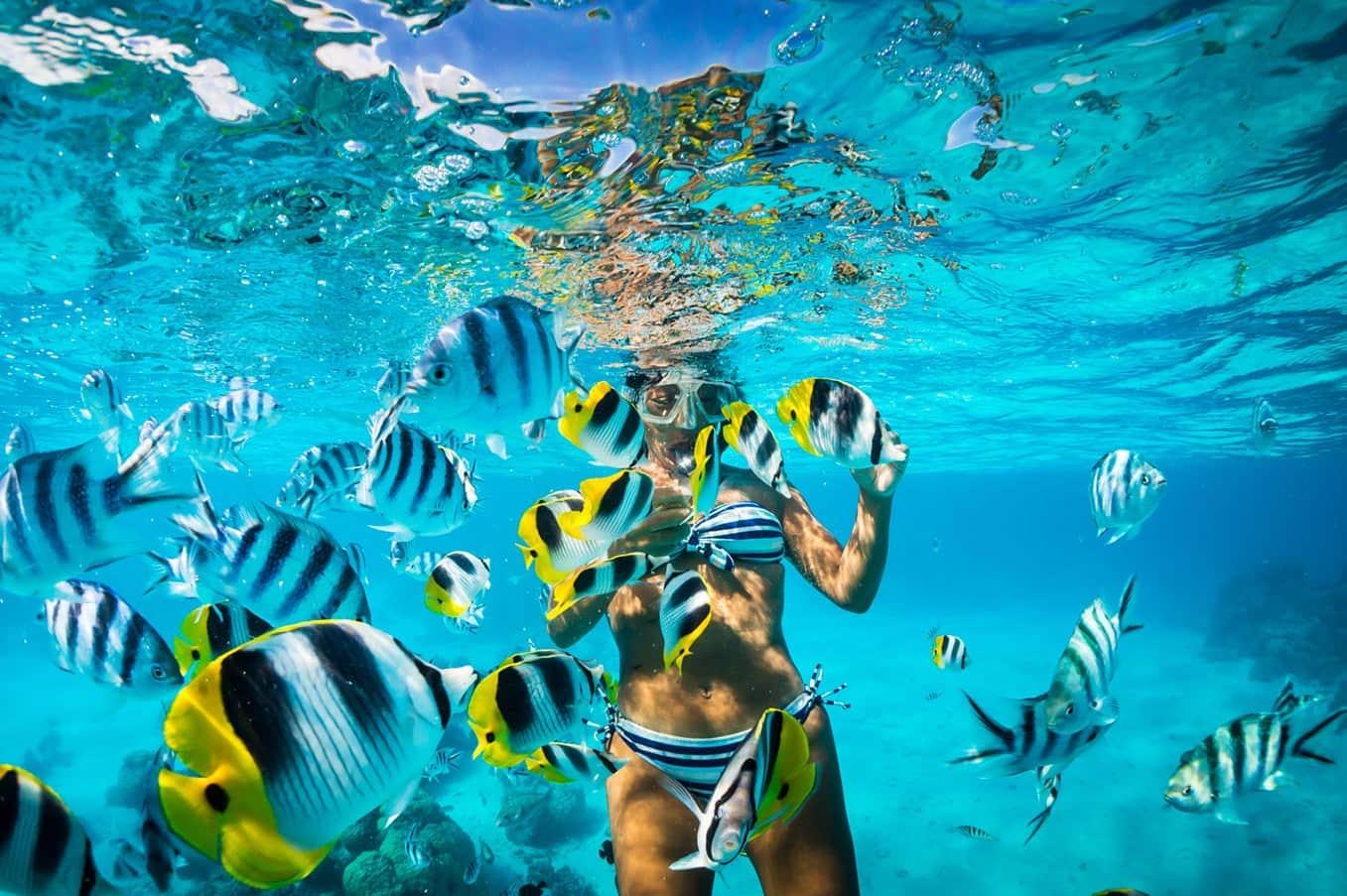 Catalina Island Full-Day Snorkeling + Lunch from Punta Cana – Punta Cana, Dominican Republic