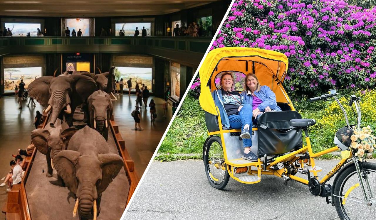 Central Park Pedicab Tour + Optional Natural History Access – New York City, New York