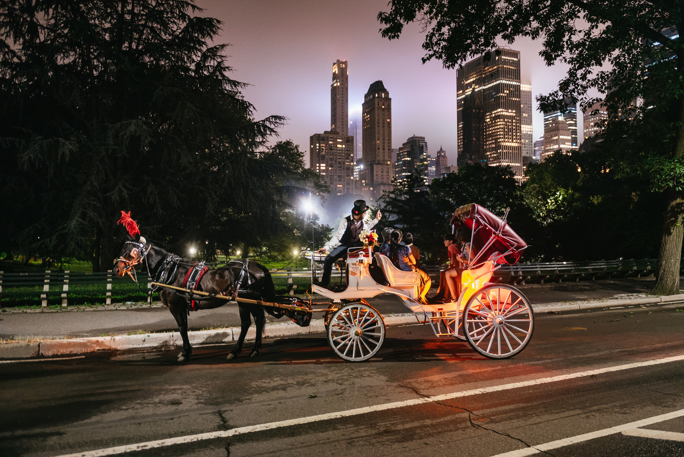 Central Park, Rockefeller & Times Carriage Ride (4 Adults) – New York City, New York