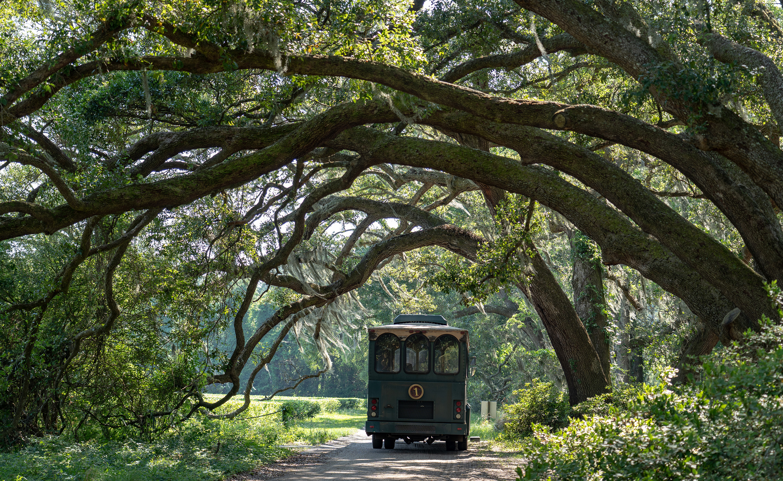 Charleston: Wadmalaw Island Wine Tasting and Tea Garden Trip – Charleston, South Carolina