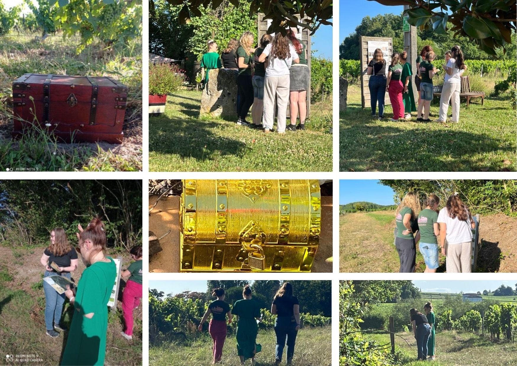 Château Champion: Treasure hunt in the vineyard – Nouvelle-Aquitaine, France