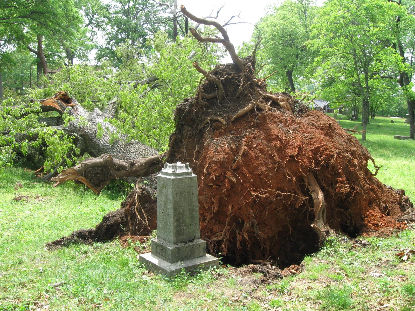 Chattanooga: 18+ Only Cemetery Ghost Hunt With EMF Detector – Chattanooga, Tennessee