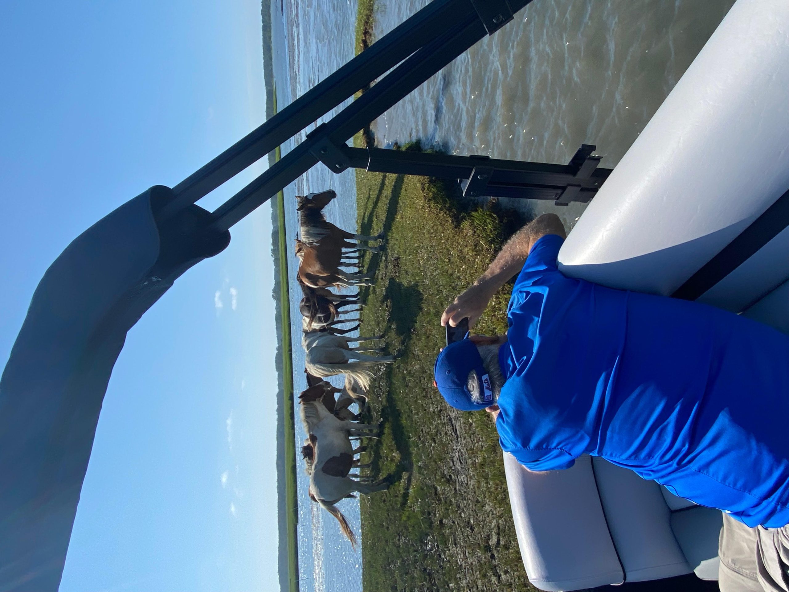 Chincoteague: Premier Pony & Wildlife Small Group Boat Tour – Chincoteague, Virginia