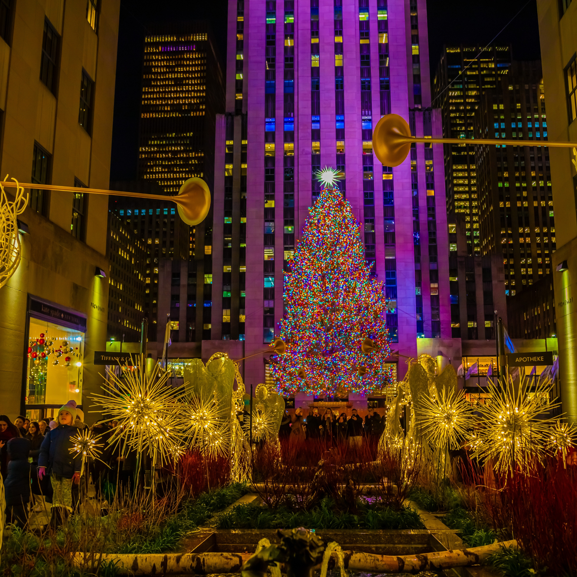 Christmas in New York: Winter Wonderland Experience – New York City, New York