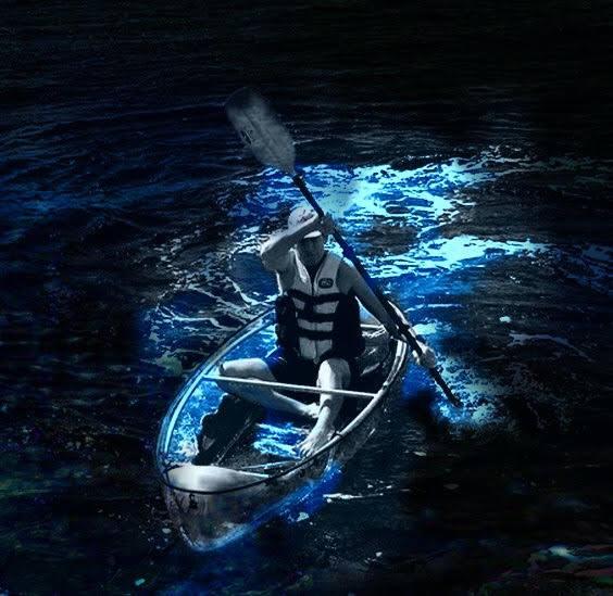 Cocoa Beach: Clear Kayak Bioluminescence Tour – Cocoa Beach, Florida