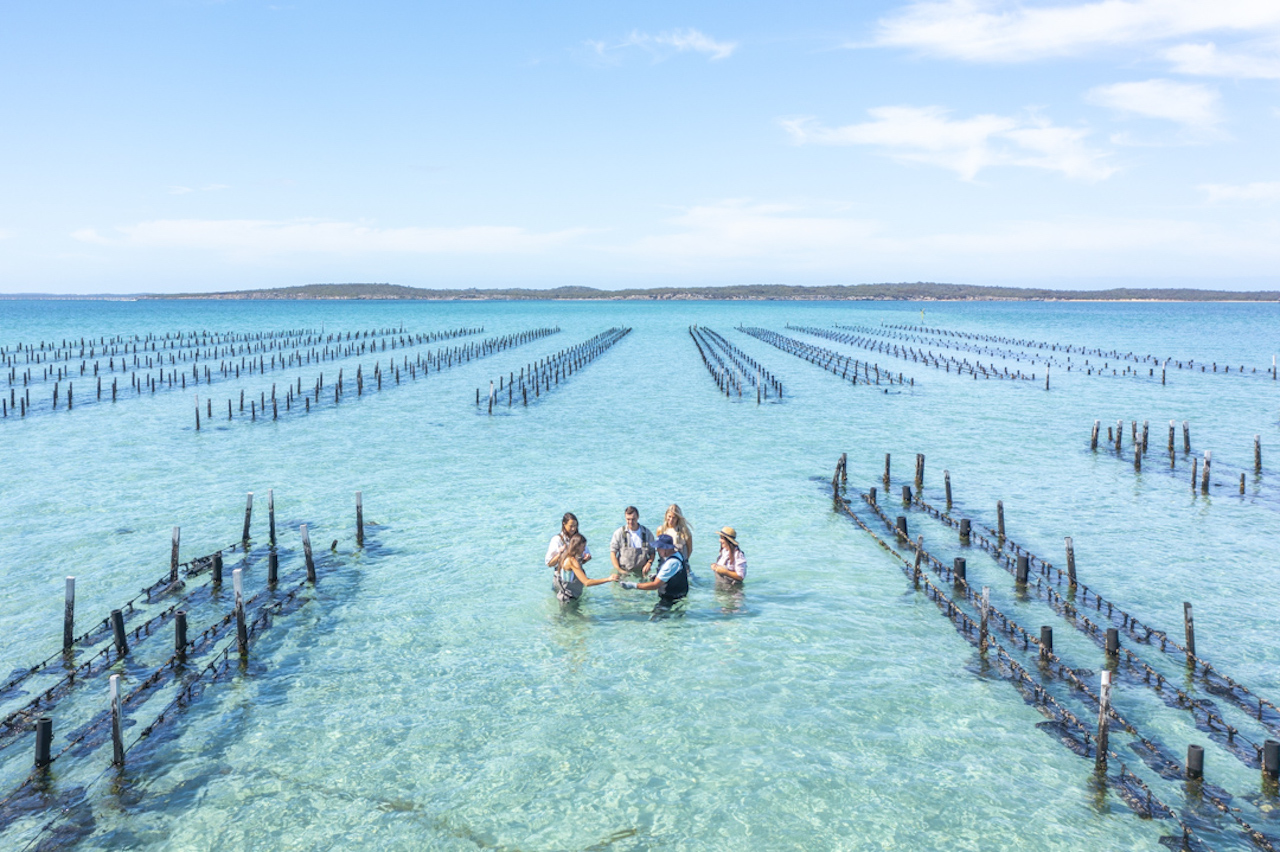 Coffin Bay: Oyster Farm Boat Tour with Wading & 12 Oysters – Coffin Bay, Australia