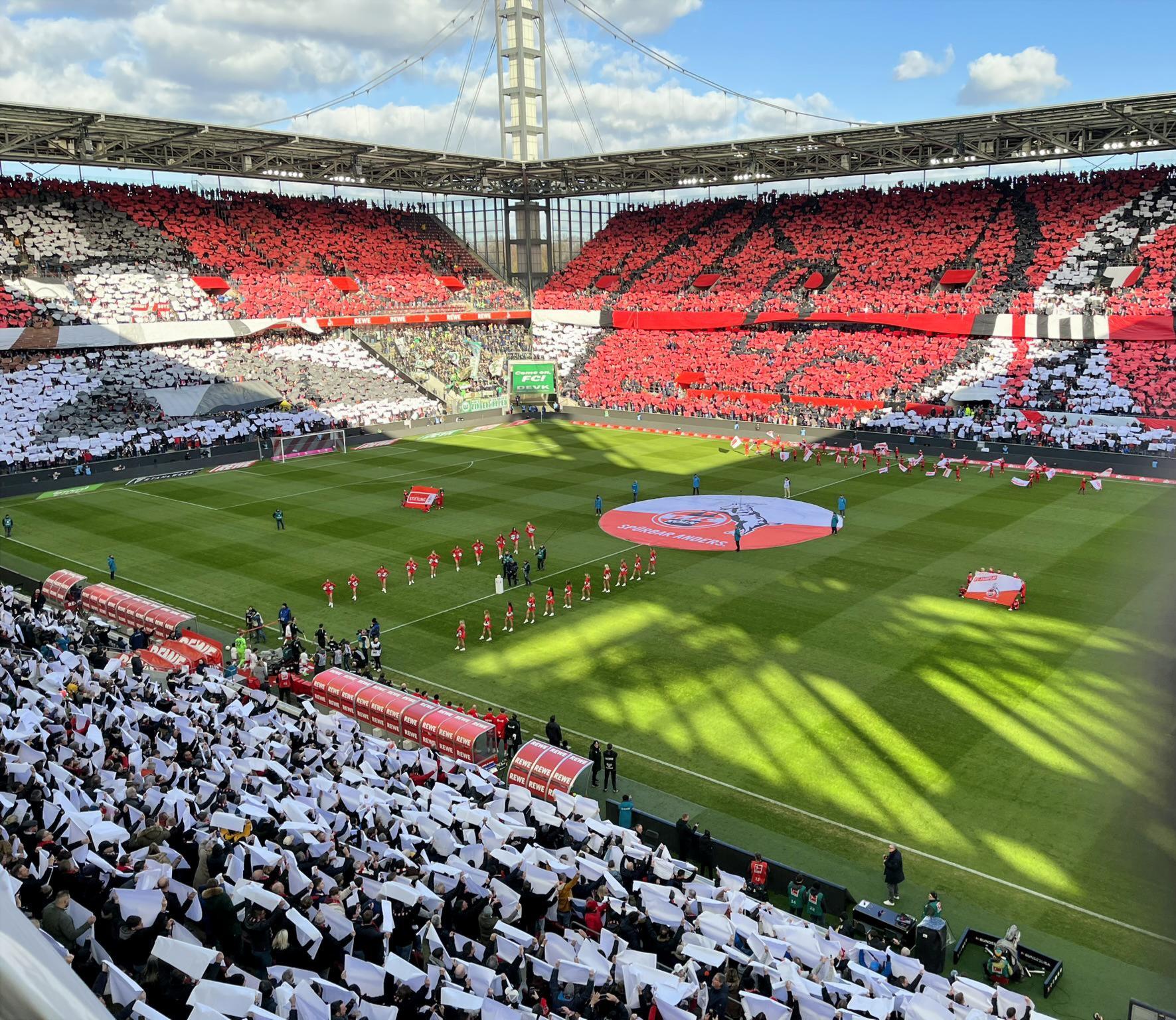 Cologne: 1. FC Köln matchday experience with a local – Cologne, Germany