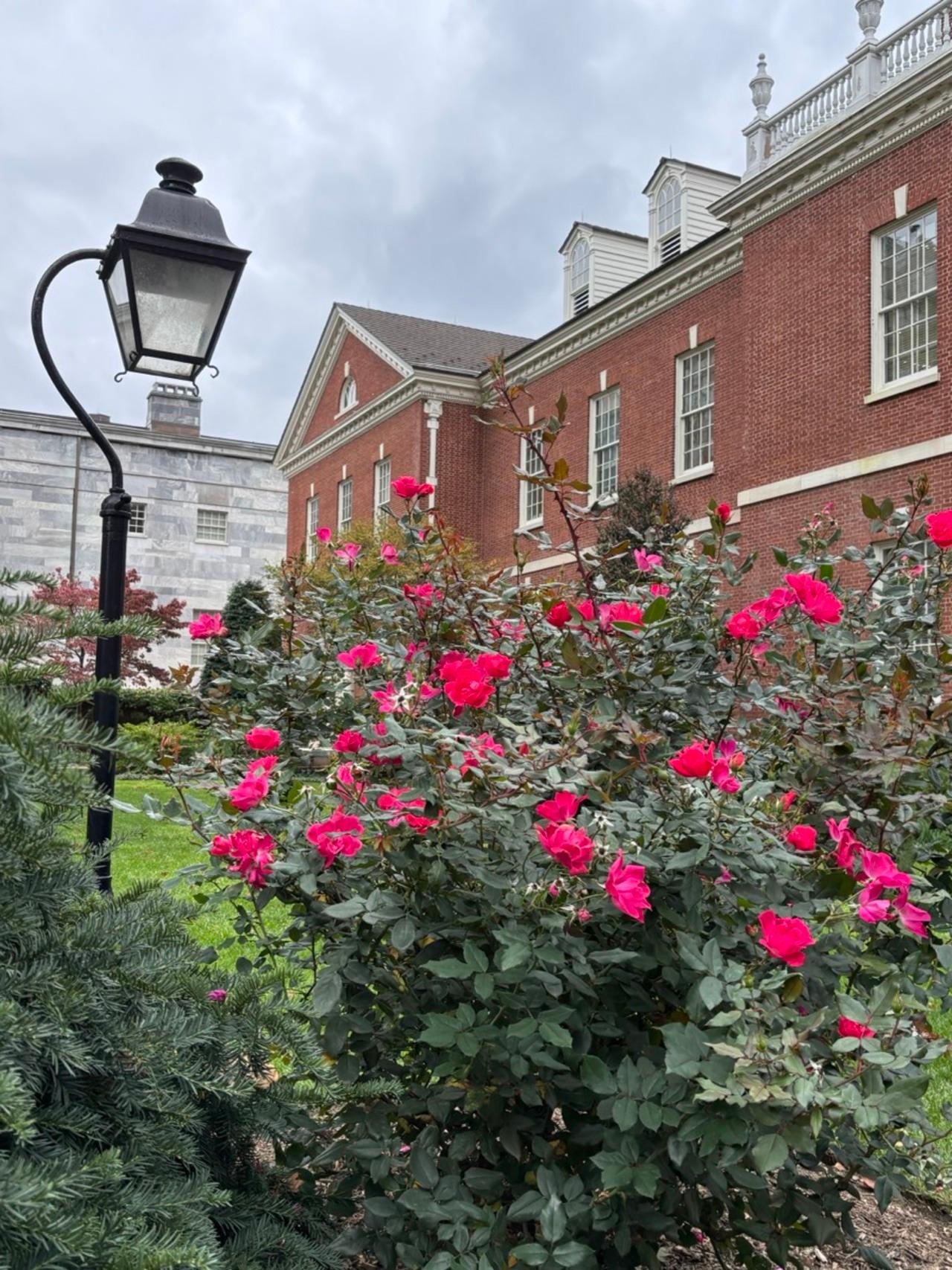 Colonial Philadelphia for People w Mobility or Sensory Needs – Philadelphia, Pennsylvania