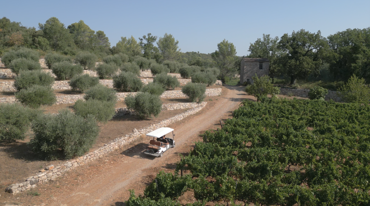 Commanderie de Peyrassol: Guided tour of the sculpture park by golf cart – South of France, France