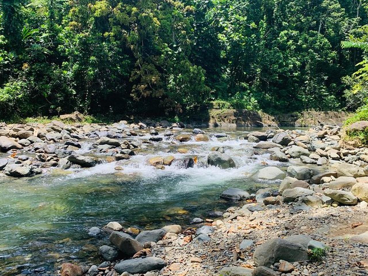 Concrete Jungle to the Actual Jungle, Complete Package Tour – María de la Cruz Cave, Puerto Rico