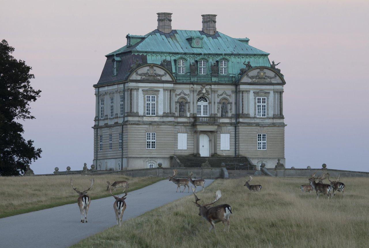 Copenhagen: Deer Park and Hermitage Palace Guided Walk – Lyngby, Denmark