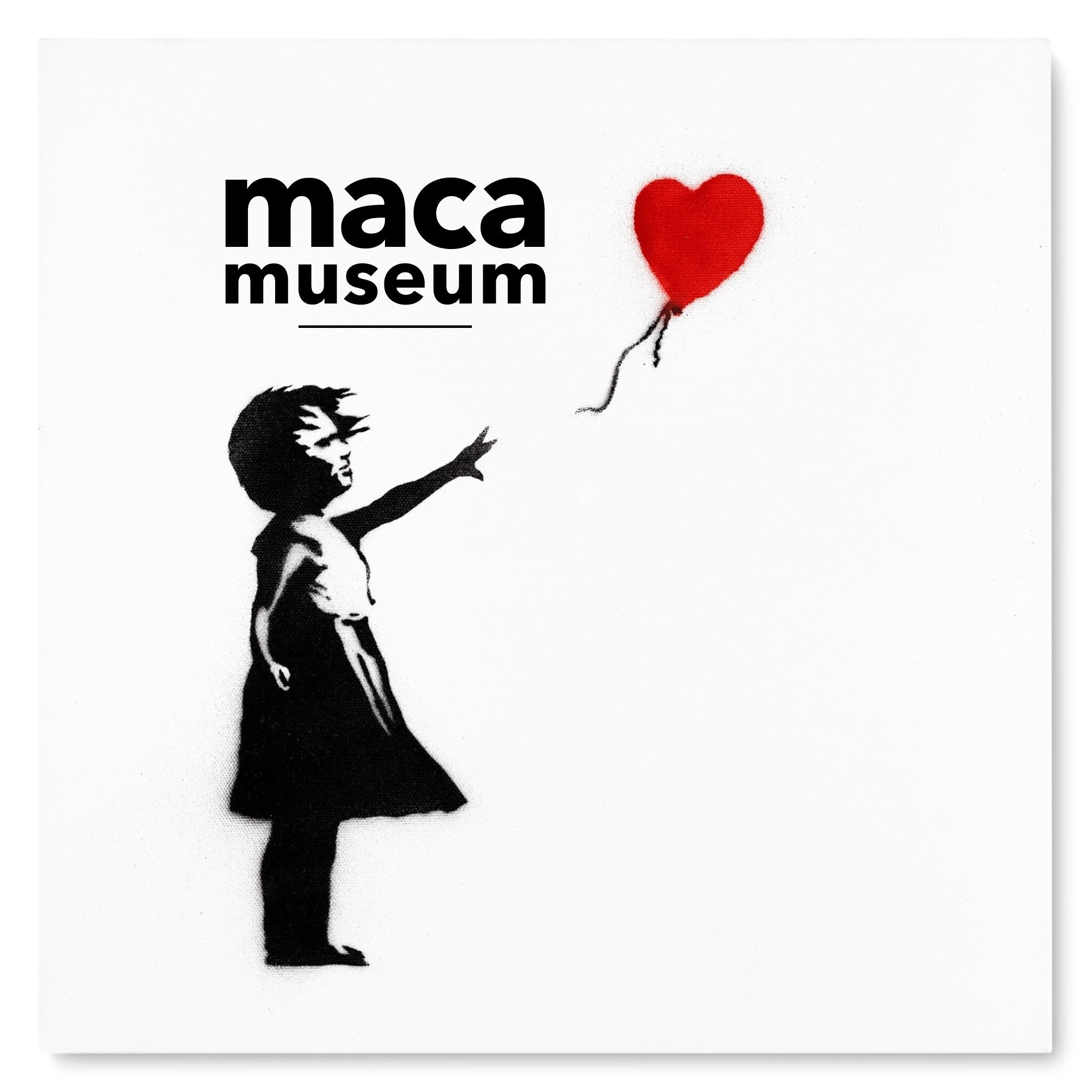 Copenhagen: MACA Art Museum Entry Ticket – Copenhagen, Denmark