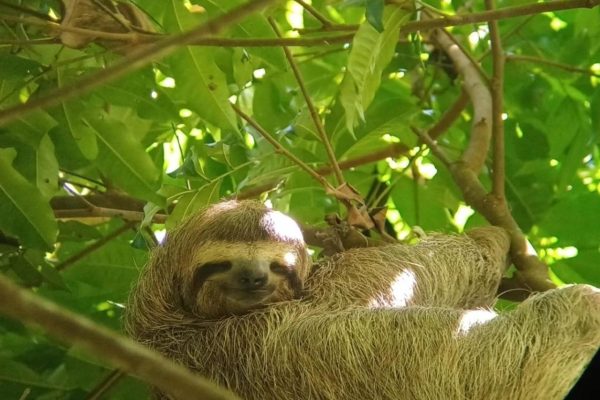 Corcovado National Park: Private Experience for Couples 2D 1N – Puntarenas, Costa Rica