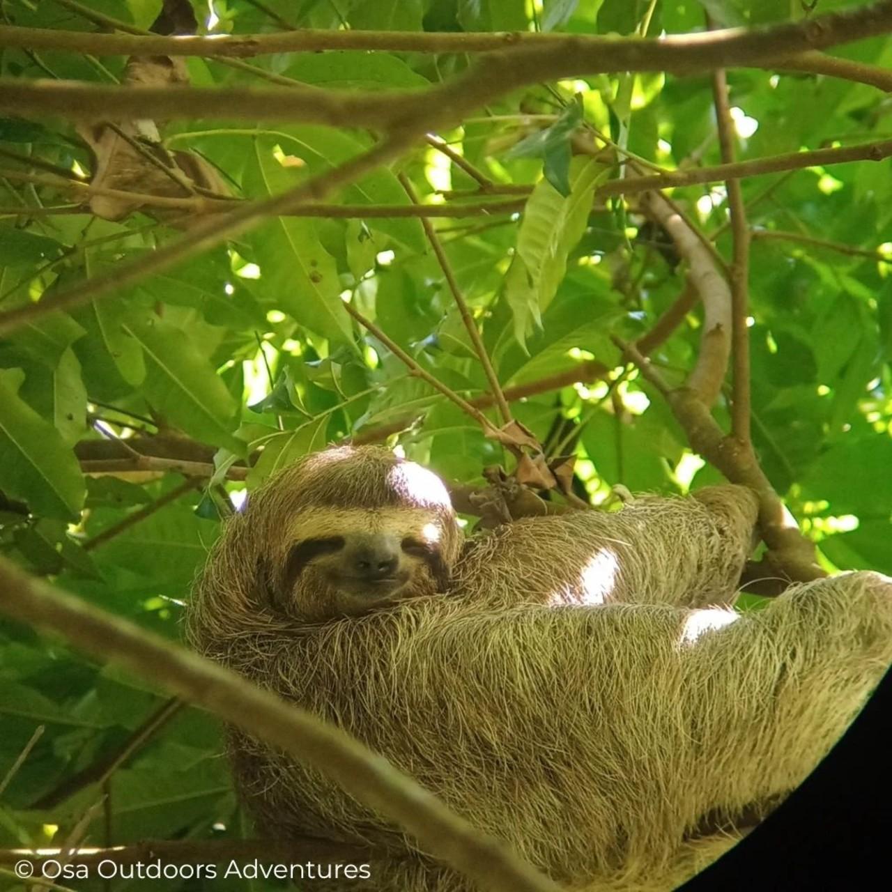 Corcovado National Park: Private Experience for Couples 2D 1N – Puntarenas, Costa Rica