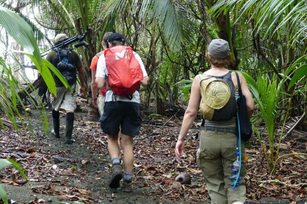 Corcovado: Sirena Station Overnight Adventure – Puntarenas, Costa Rica