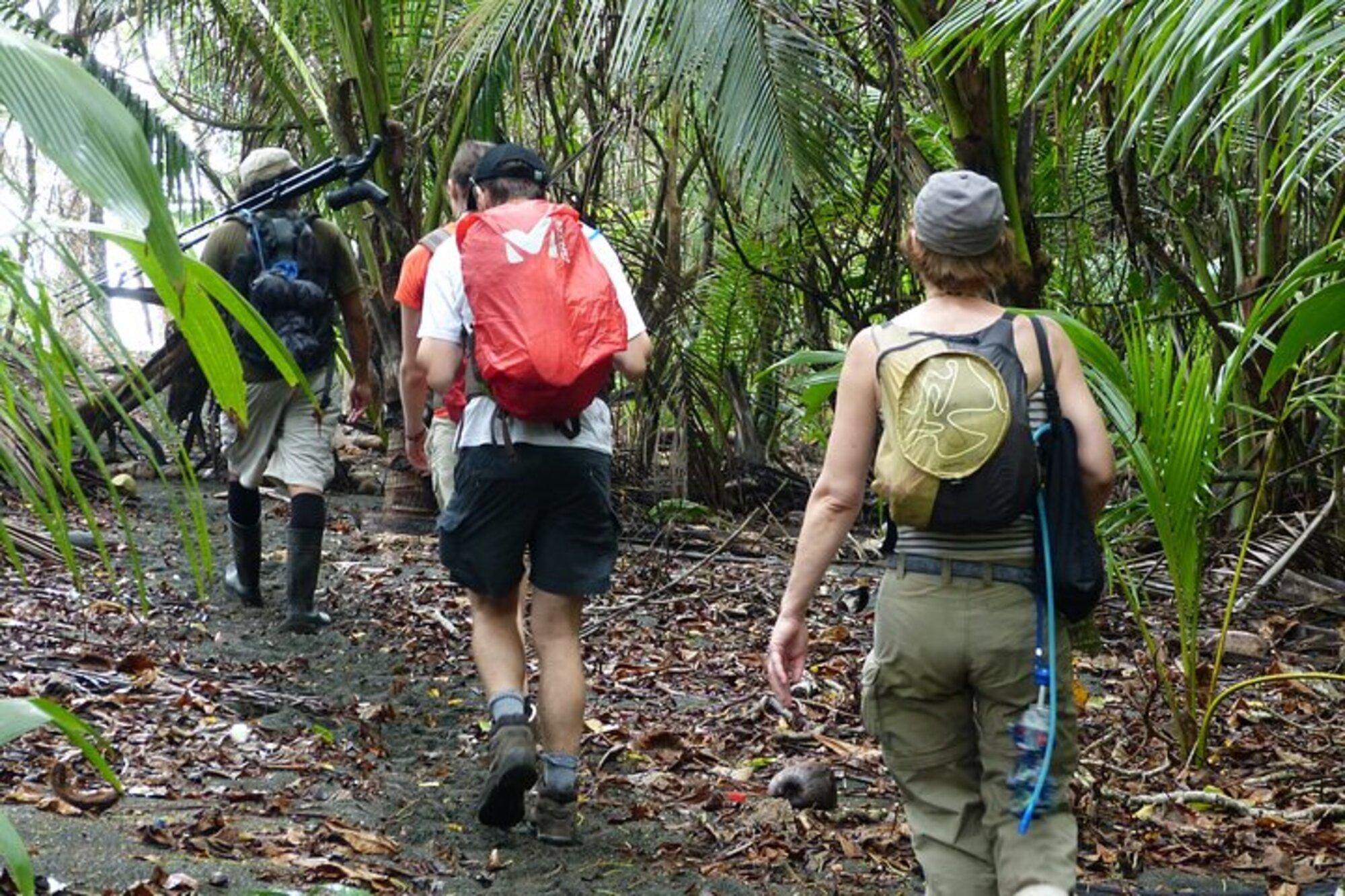 Corcovado: Sirena Station Overnight Adventure – Puntarenas, Costa Rica