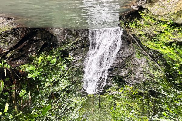 Corcovado Sunrise Tour with Los Planes Ranger Station – Puntarenas, Costa Rica